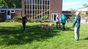 Unsere Kinder lieben die "Penni-Pause". Ball spielen und Kommandos üben macht jedem Spaß!